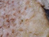 Tota de manzana invertida