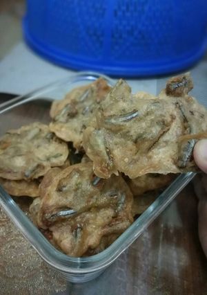 Foto resep Bakwan kering Ikan Mairo