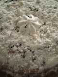 Torta fácil para compartir en, cualquier ocasión 😜
