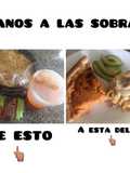 PAY de Atún y pasta al Estilo Eddy 😍
