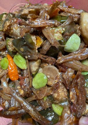 Foto resep Tumis Terong Bulat dan Teri