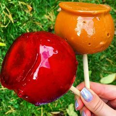A picture of [Vegan] Caramel Apples.