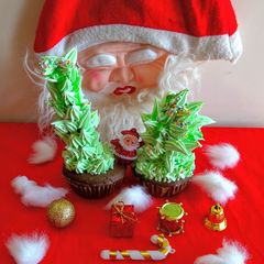 A picture of Xmas tree chocolate brownie.