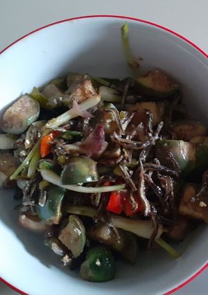 Foto resep Tumis terong lengkio ikan teri
