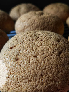Foto resep 50* Mexican Bun / Roti Boy