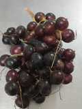 El corozo o frutillas silvestres