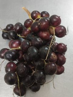 Una foto de El corozo o frutillas silvestres