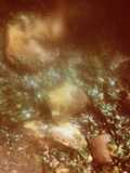 Vegetable soup