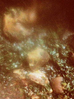 A picture of Vegetable soup.
