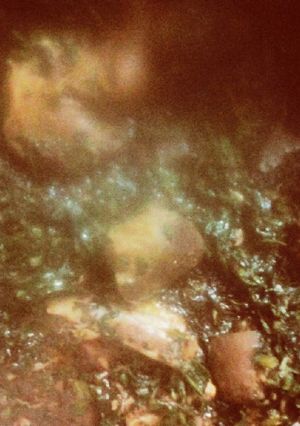 A picture of Vegetable soup.