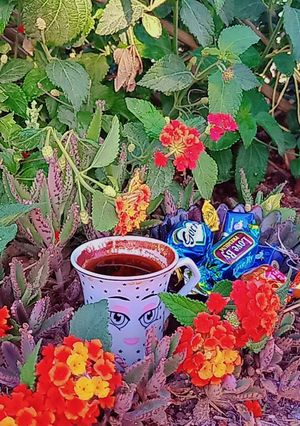صورة لوصفة قهوة مسائي 🤷🏻♀️