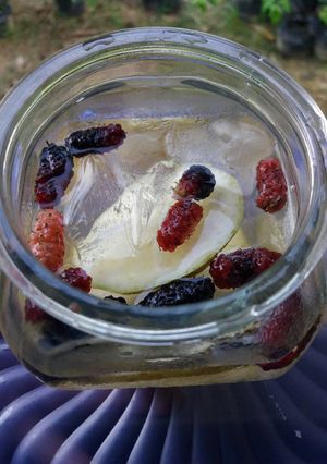 Foto resep Infused Water Lemon Murbey