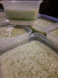 Foto resep Puding Lumut Santan Vanilla
