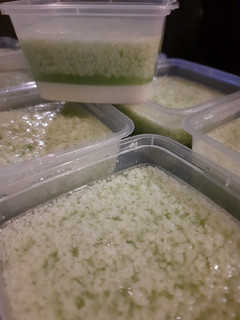 Foto resep Puding Lumut Santan Vanilla