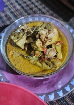 Foto resep Gule Ayam Bumbu Instan