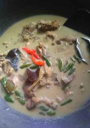 Foto resep Opor Ayam Kreasi