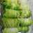 Steamed Chicken and Shrimp Cabbage Rolls