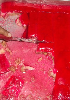 A picture of Jello pudding.
