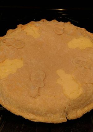 A picture of Ricotta Pie.