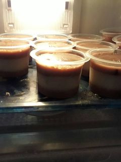 Foto resep Puding Milo with Oreo Coklat