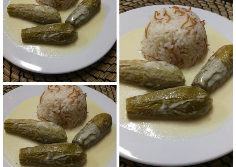 كوسا باللبن شيخ المحشي