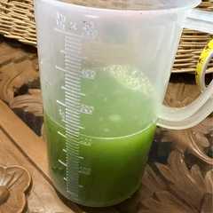 Juice daun pandan-レシピのメイン写真