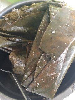 A picture of Moimoi.