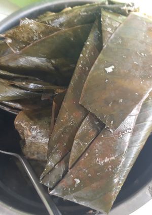 A picture of Moimoi.