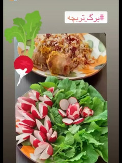 عکسی از دستور برگ تربچه جون استوری اینستای کوکپد شده😅🤗