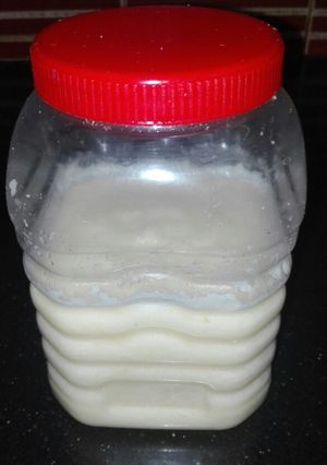 A picture of Homemade Garlic Paste.