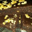 Brownie vegano light rápido, y súper fácil