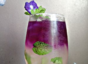 Gambar Butterfly Pea Detox