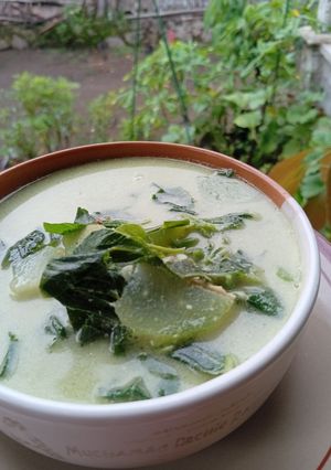 Foto resep Bobor bayam labu siam