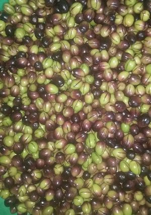 صورة لوصفة زيتون في البيت