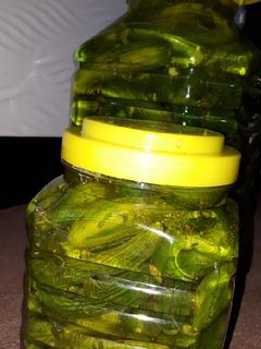 عکسی از دستور خیارشور سرکه ای