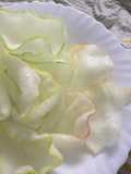 Air Fryer Prawn Cracker
