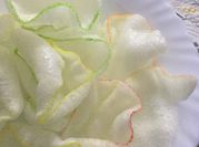 A picture of prawn crackers