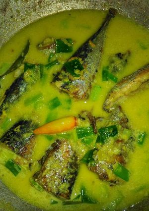 Foto resep IKAN Tongkol bumbu kuning