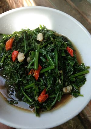 Foto resep Tumis Pakis