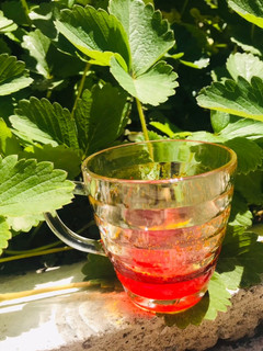 عکسی از دستور دم کردن زعفران 🥃