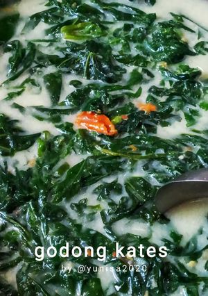 Foto resep Daun pepaya jepang kuah santan