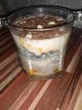 Coconut Mango Sagoo Pudding