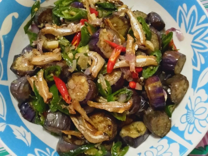 Langkah Gampang Menyiapkan Resep Tumis Terong + Teri yang Bisa Manjain Lidah Anti Ribet, Uenak Banget