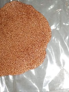 તલ ની ચીક્કી(Tal Chikki Recipe in Gujarati) રેસીપી મુખ્ય ફોટો