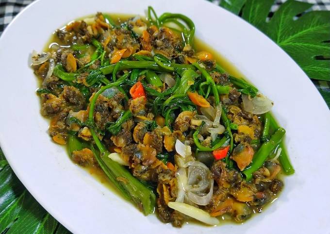 Panduan Membuat Resep Cah Kangkung Kerang Dara