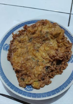 Foto resep Telur Dadar Padang