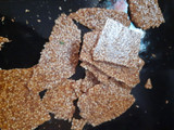 તલની ચીક્કી (Til Chikki Recipe In Gujarati)