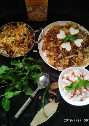 A picture of Paneer masala biryani.