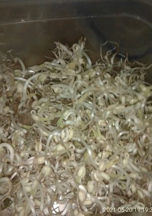 Una foto de Germinados para ensalada, pan o lo que más gustes✌️😊