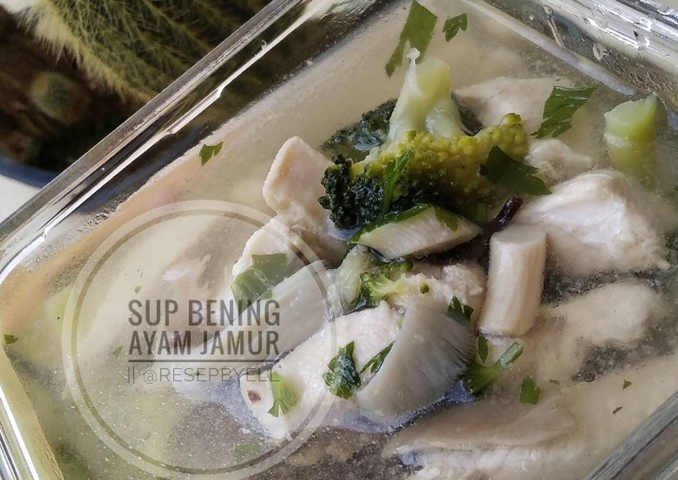 Sup Bening Ayam Jamur
